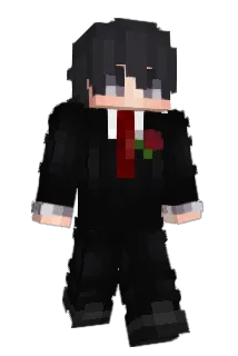 insane1x Minecraft avatar full body