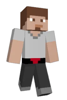 insane763 Minecraft avatar full body