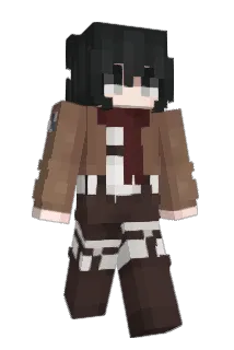 insanedoolgis Minecraft avatar full body