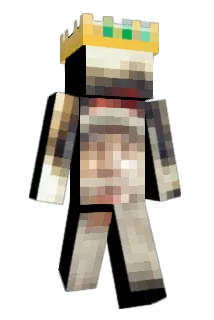insardia Minecraft avatar full body