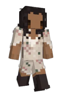 inseouls Minecraft avatar full body
