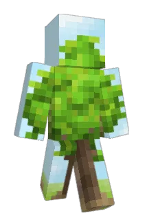 insert_end Minecraft avatar full body
