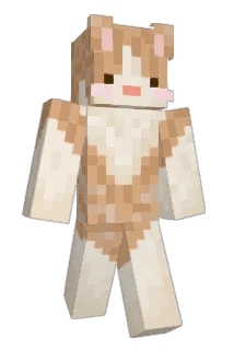 insk123 Minecraft avatar full body