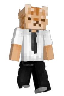 insominn Minecraft avatar full body