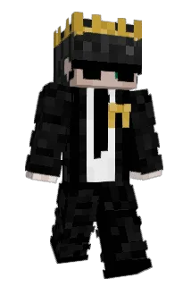 insomni_Frog Minecraft avatar full body