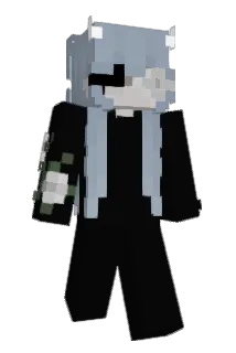 instalocking Minecraft avatar full body