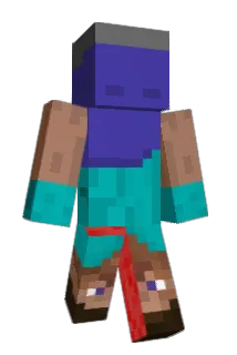 insubs1110 Minecraft avatar full body