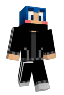 insungproblem Minecraft avatar full body