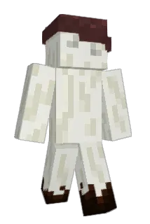 insurmontable Minecraft avatar full body