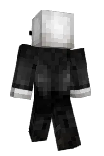 intarmet Minecraft avatar full body
