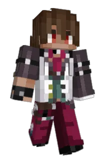 intcel Minecraft avatar full body