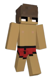 internetdebuteco Minecraft avatar full body