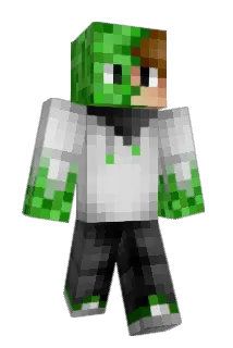 interwoody Minecraft avatar full body