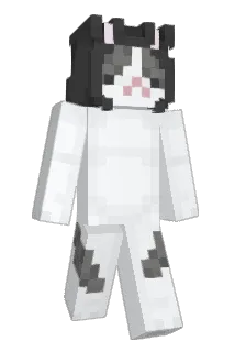 intthewired Minecraft avatar full body