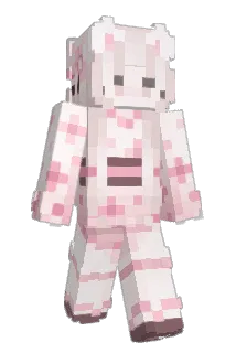 invokevirtual Minecraft avatar full body