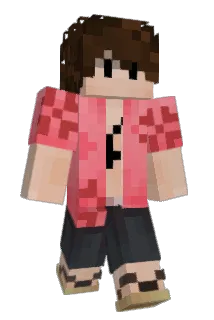 invro Minecraft avatar full body