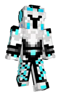 iond20 Minecraft avatar full body