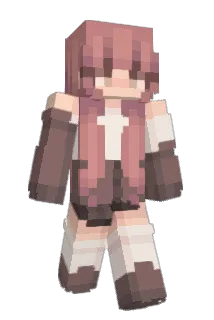 ippaaa Minecraft avatar full body