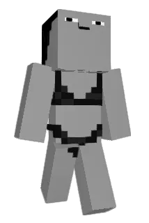 ironn88 Minecraft avatar full body