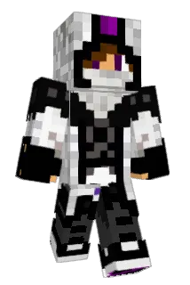 is721 Minecraft avatar full body