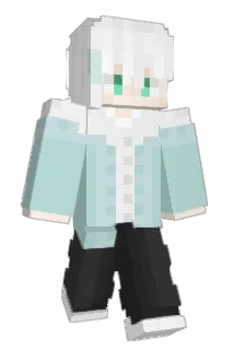is_Re Minecraft avatar full body