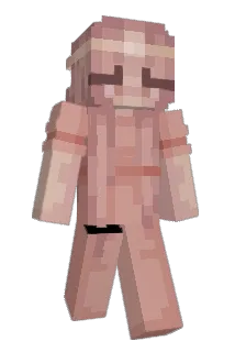 isapo0 Minecraft avatar full body