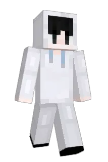 isin121314 Minecraft avatar full body