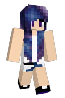 iso1309 Minecraft avatar full body