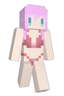 isse4649 Minecraft avatar full body