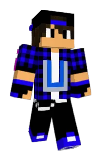 it4gs Minecraft avatar full body