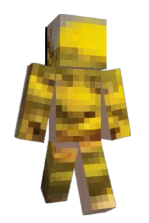 itME9 Minecraft avatar full body