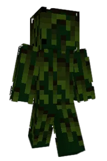 itchyshlongs Minecraft avatar full body