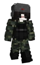 Custom render preview