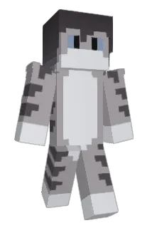 Minecraft-Avatar von itsGr4yscale: ganzer Körper