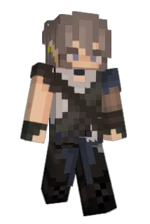 its_json Minecraft avatar full body