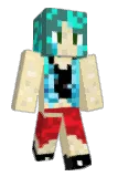 itsfitz Minecraft avatar full body
