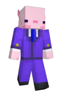 itzsMCRayJR Minecraft avatar full body
