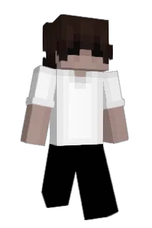 ivaxs Minecraft avatar full body
