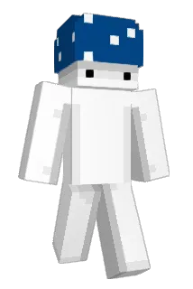 iwikiwi Minecraft avatar full body