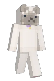 iwki Minecraft avatar full body