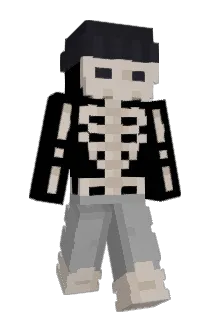 ixNINJASAMURAIxi Minecraft avatar full body