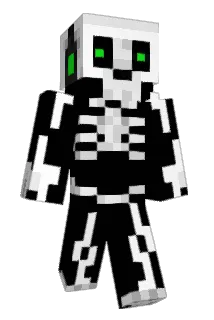 iziri_saodake Minecraft avatar full body