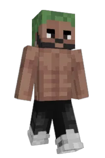 j1an1 Minecraft avatar full body