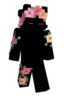 j_pr Minecraft avatar full body