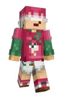 jacup Minecraft avatar full body