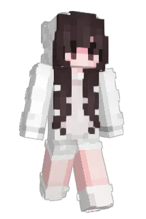 jaejaeone Minecraft avatar full body