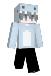 jake295 Minecraft avatar full body