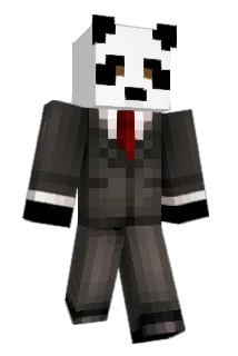 jakerobert8 Minecraft avatar full body