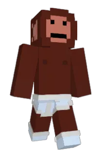jakobg04 Minecraft avatar full body