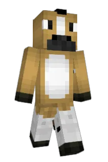 jallard69420 Minecraft avatar full body